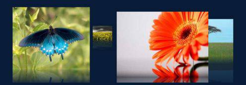 有趣的图片滚动展示模块-由外贸网站建设|B2C购物网站建设|营销型网站建设|Joomla/Magento实施|网络营销专家新龙提供