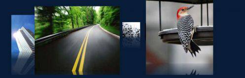 有趣的图片滚动展示模块-由外贸网站建设|B2C购物网站建设营销型网站建设|Joomla/Magento实施|网络营销专家新龙提供