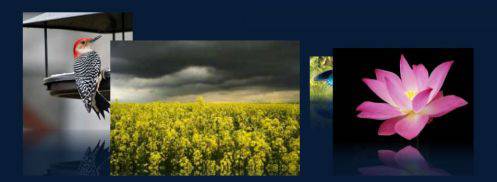 有趣的图片滚动展示模块-由外贸网站建设|B2C购物网站建设|营销型网站建设|Joomla/Magento实施|网络营销专家新龙提供