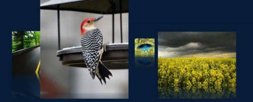 有趣的图片滚动展示模块-由外贸网站建设|B2C购物网站建设|营销型网站建设|Joomla/Magento实施|网络营销专家新龙提供