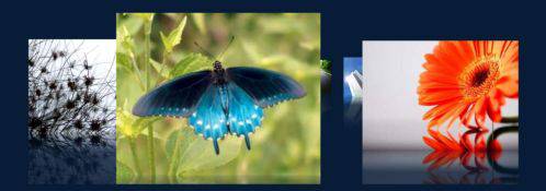 有趣的图片滚动展示模块-由外贸网站建设|B2C购物网站建设|营销型网站建设|Joomla/Magento实施|网络营销专家新龙提供