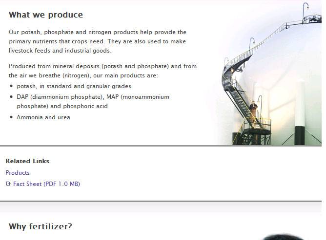 网站策划：我们该如何策划网站首页--由外贸网站建设|外贸网店建设|SEO网站建设|Joomla模板制作|Joomla/Magento网站建设|网络营销专家新龙提供