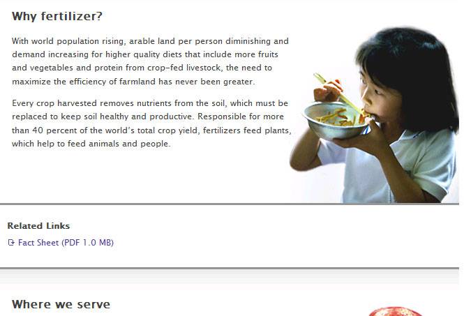 网站策划：我们该如何策划网站首页--由外贸网站建设|外贸网店建设|SEO网站建设|Joomla模板制作|Joomla/Magento网站建设|网络营销专家新龙提供