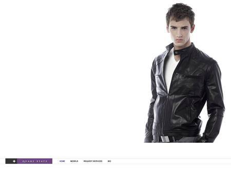 外贸网页设计欣赏-时尚奢侈品网站设计