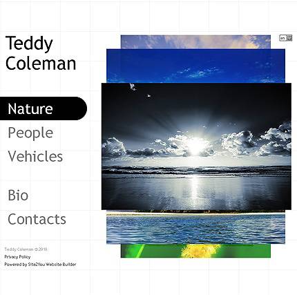 外贸网站建设欣赏-艺术图片类网页设计