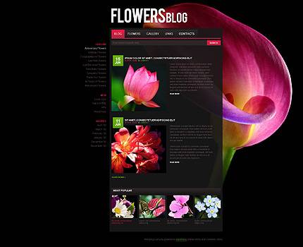 外贸网站建设欣赏-花卉植物类网页设计