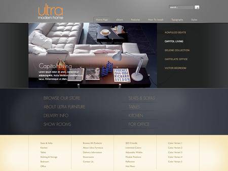 外贸网站建设欣赏-网店设计