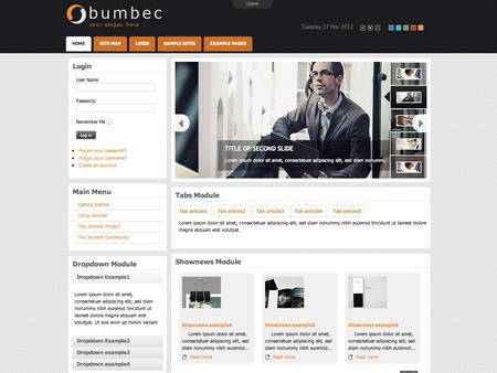 外贸网站建设欣赏-科学技术工程类网页设计