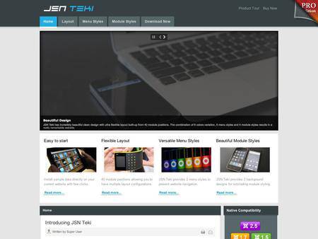 外贸网站建设欣赏-软件设计类网页设计