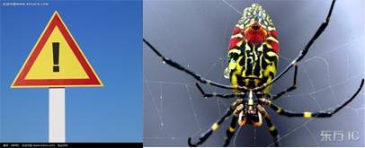 什么因素导致某些颜色看起来高档？响应式网页设计/外贸网站建设专家—新龙，是您互联网商业应用的好伙伴！