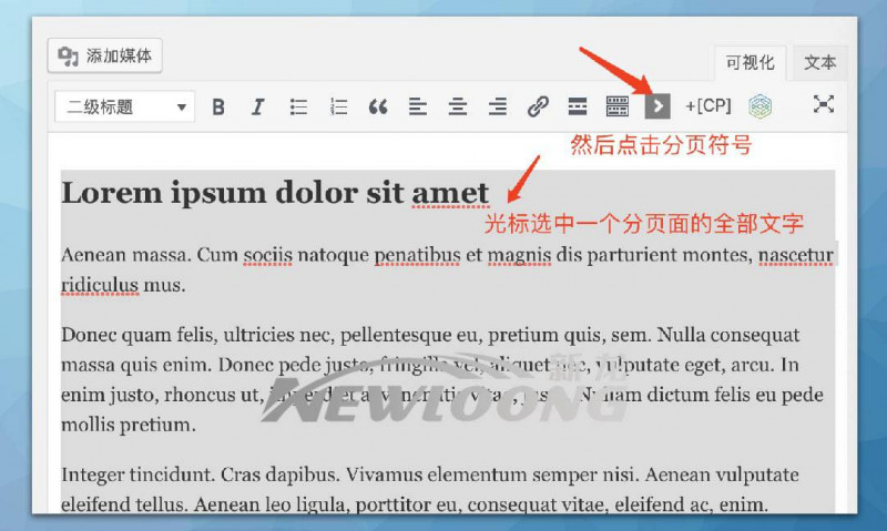 文章内容分页及中英文标题并显的编辑-深圳市新龙资讯有限公司原创
