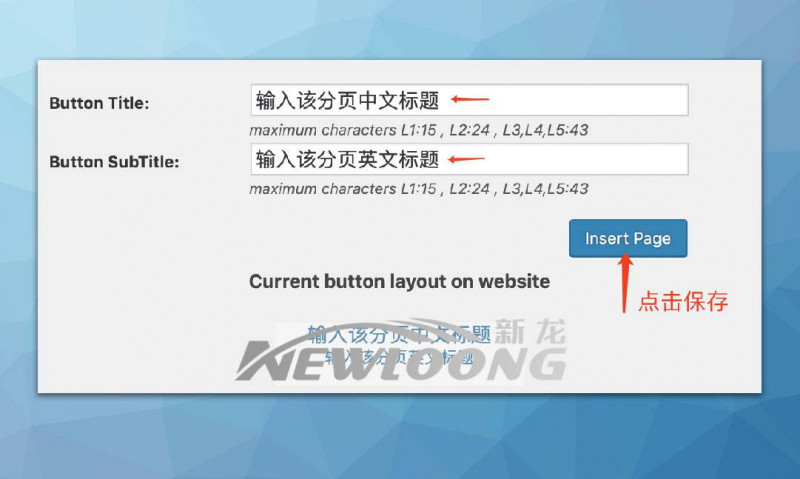 文章内容分页及中英文标题并显的编辑-深圳市新龙资讯有限公司原创