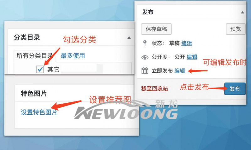 文章内容分页及中英文标题并显的编辑-深圳市新龙资讯有限公司原创