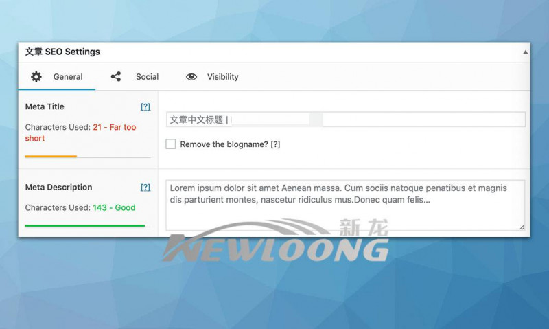 文章内容分页及中英文标题并显的编辑-深圳市新龙资讯有限公司原创