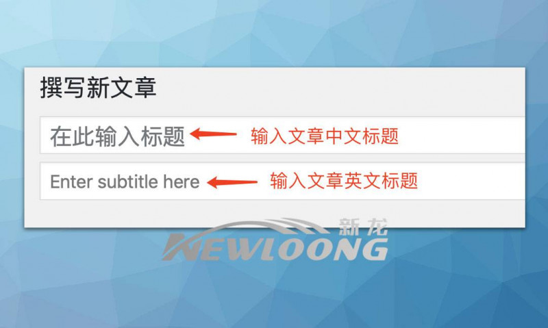 文章内容分页及中英文标题并显的编辑-深圳市新龙资讯有限公司原创