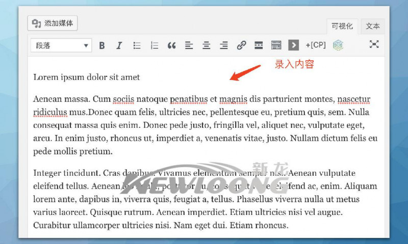 文章内容分页及中英文标题并显的编辑-深圳市新龙资讯有限公司原创