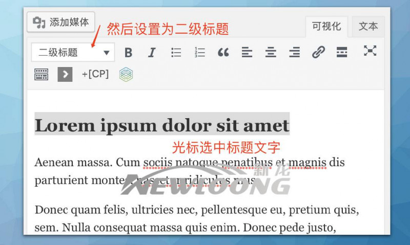 文章内容分页及中英文标题并显的编辑-深圳市新龙资讯有限公司原创