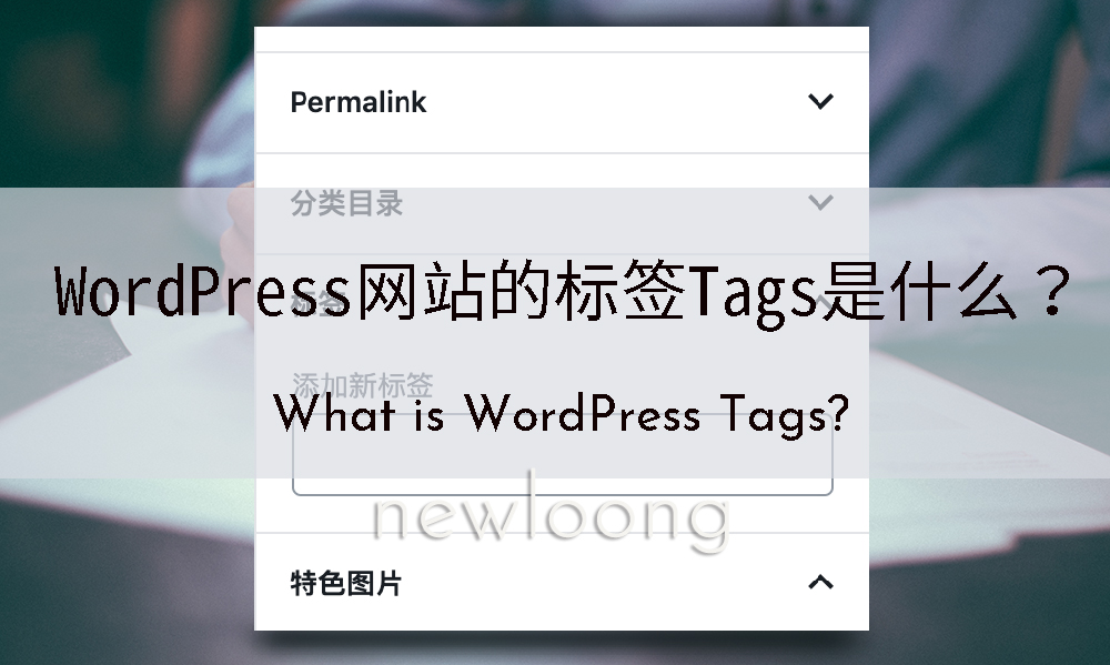 WordPress网站的标签Tags是什么?它对SEO有帮助吗?