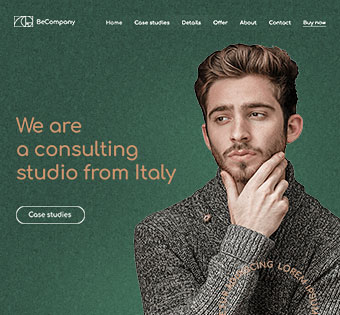 咨询公司网站主题(模版)