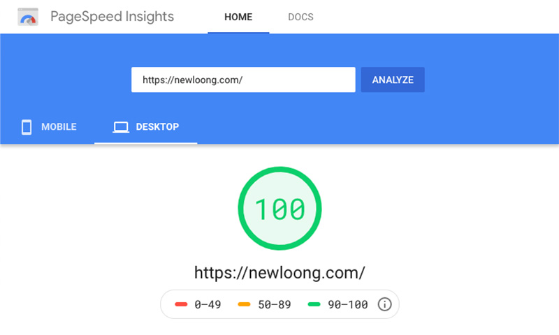 newloong-pagespeed-desktop100